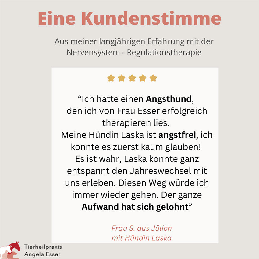 Tipps: Angsttherapie für den Hund