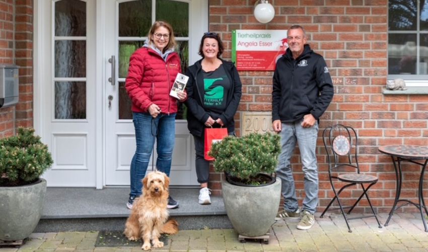 Hunde-Fotoshooting 2026 - Tierheilpraxis Angela Esser