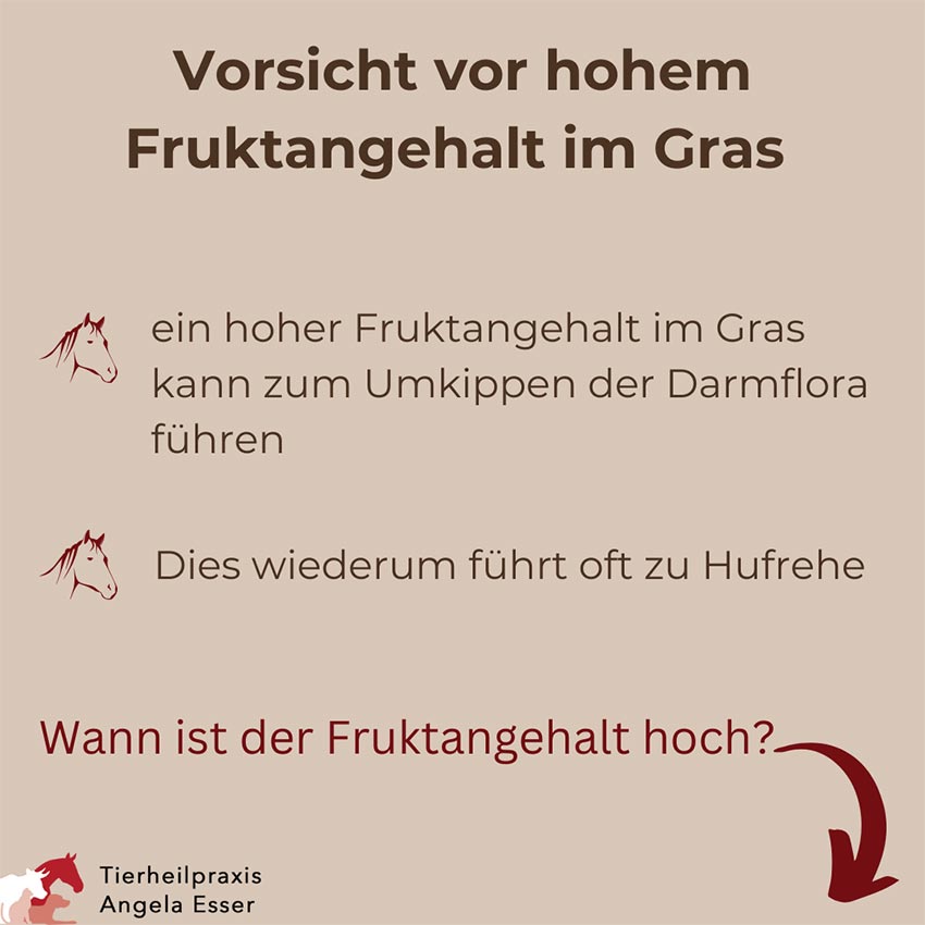 Tipps: Für den Herbst mit Pferden