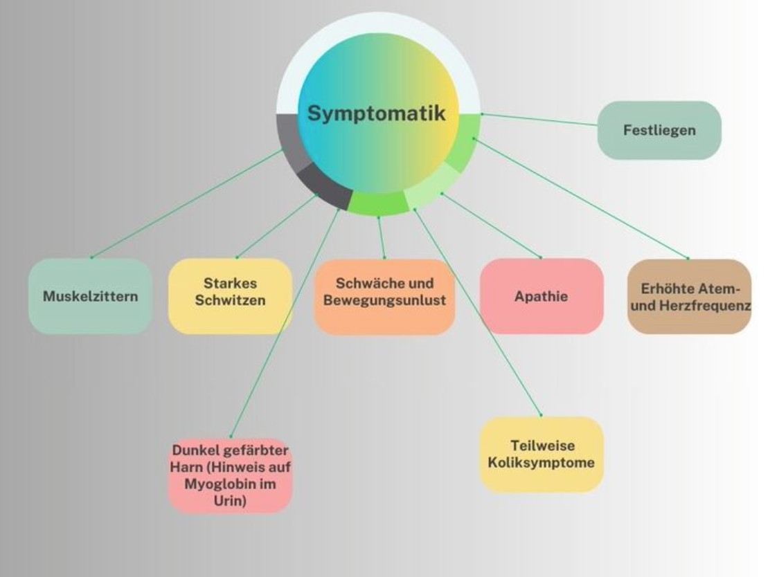 Ahornbäume! Achtung der Ahornsamen als Risiko