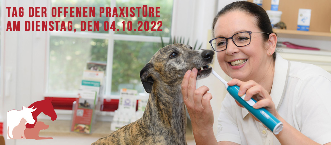 Tag der offenen Praxistüre in der Tierheilpraxis Angela Esser 2022