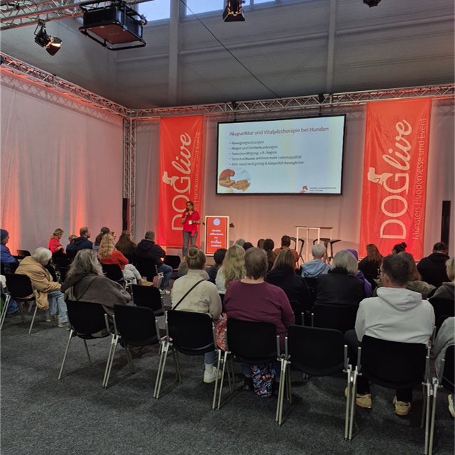 DOGlive 2027 - Münster Hundemesse und Event - DOGlive Akademy