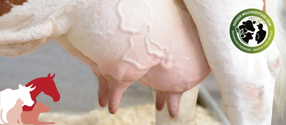 Düsser Milchviehtage  25. & 26. Februar 2026