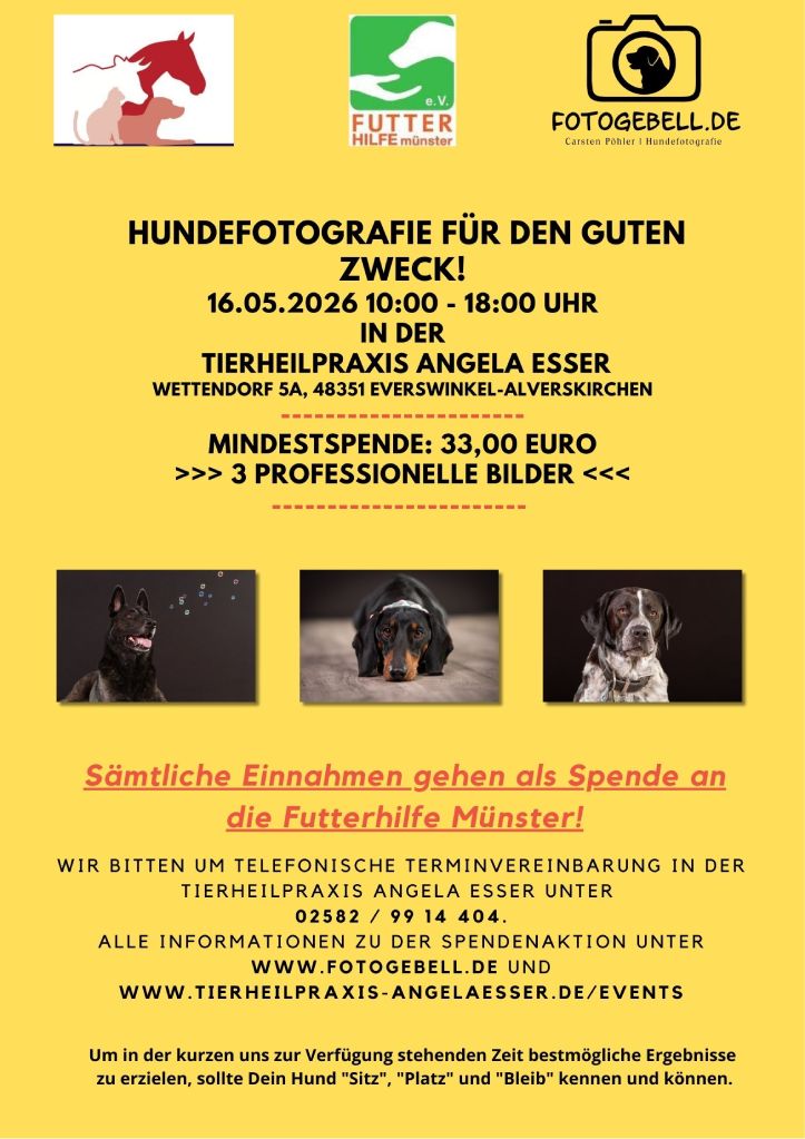 Hundefotographie für den guten Zweck 2026