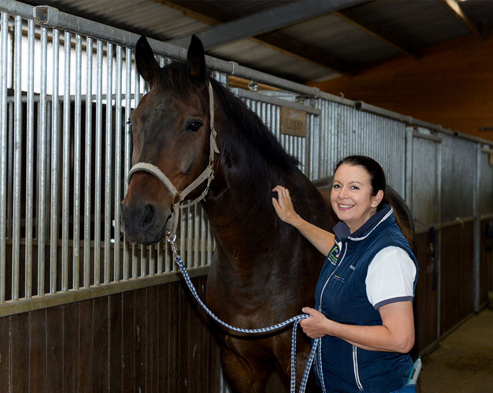 Akupunktur für Pferde Behandlung - Tierheilpraxis Warendorf