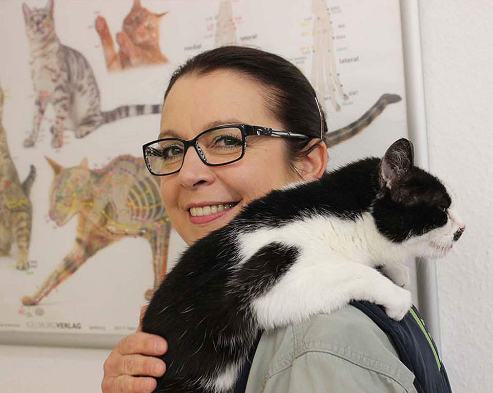 Angsttherapie für Katzen - Tierheilpraxis Angela Esser