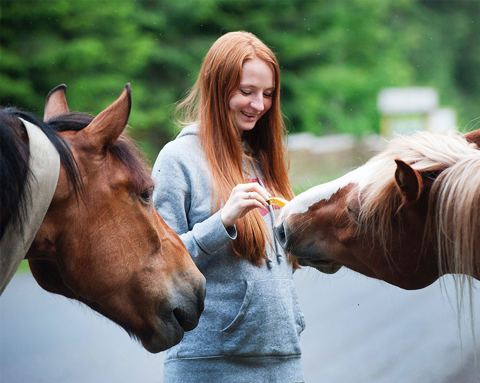 Homöopathie für Pferde Behandlung - Tierhomöopathie Angela Esser