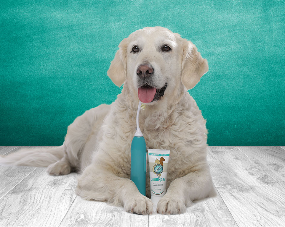 Zahnpflege und Zahnreinigung für Hunde mit Emmi Pet